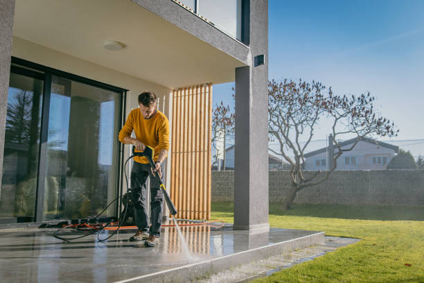 Best Gutter Cleaning  in Ardia, CA